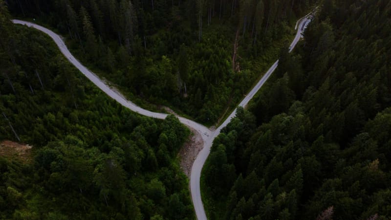 Chemin qui se divise dans la forêt